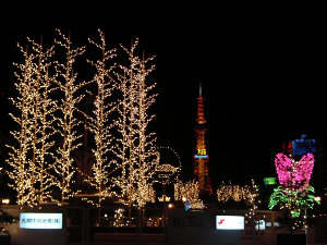 �D�y���Ȱ���